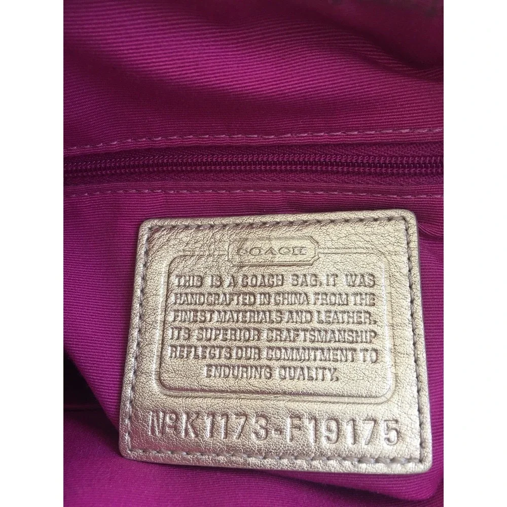 Coach this bag